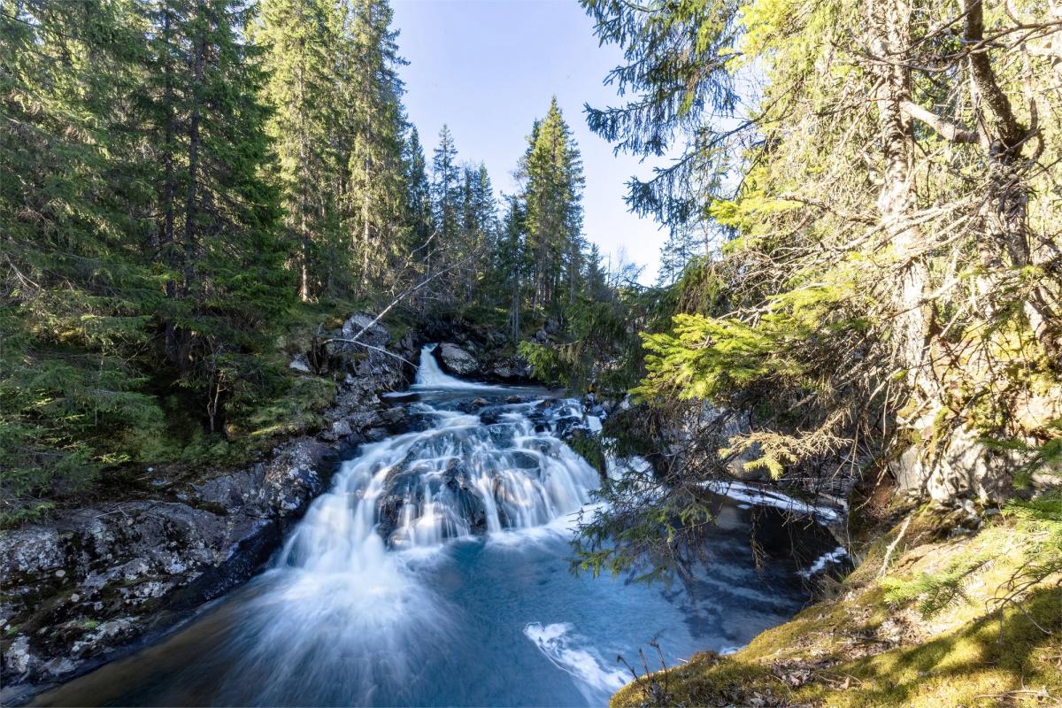 Odnesvegen 486, BYBRUA